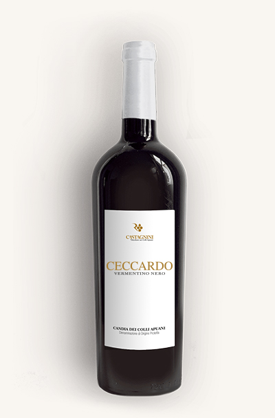 Ceccardo