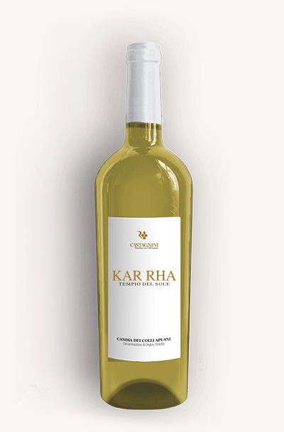 Kar Rha